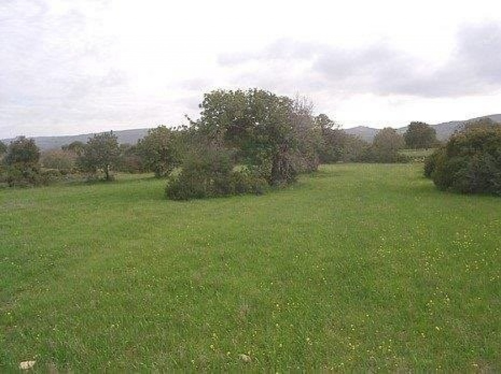 Land Land - AGRICULTURAL LAND IN NEO CHORIO