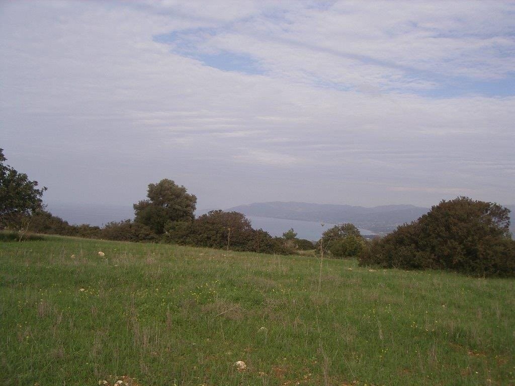 Land Land - AGRICULTURAL LAND IN NEO CHORIO
