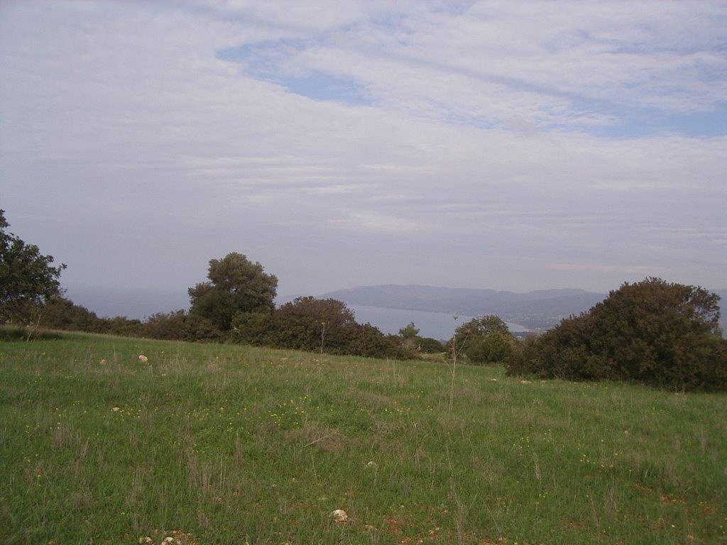 Land Land - AGRICULTURAL LAND IN NEO CHORIO