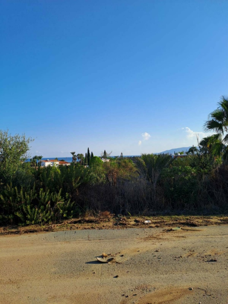 Land Land - Agricultural land for sale Anadasmos Latchi in Neo Chorio